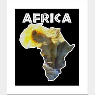 African Wildlife Continent Lion Posters and Art